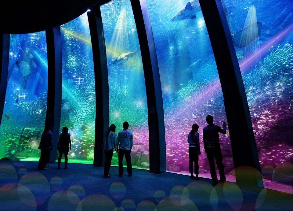 Hakkeijima Sea Paradise tokyo2