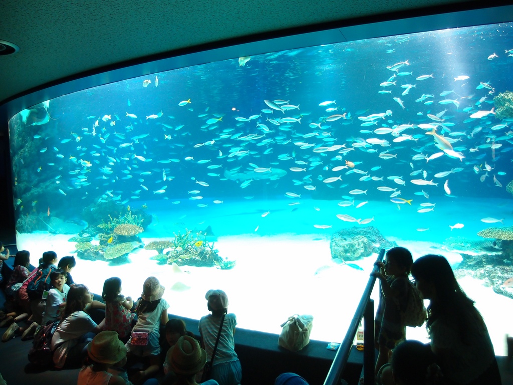 sunshine_aquarium__ikebukuro_tokyo