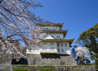 odawara castle
