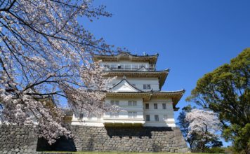 odawara castle