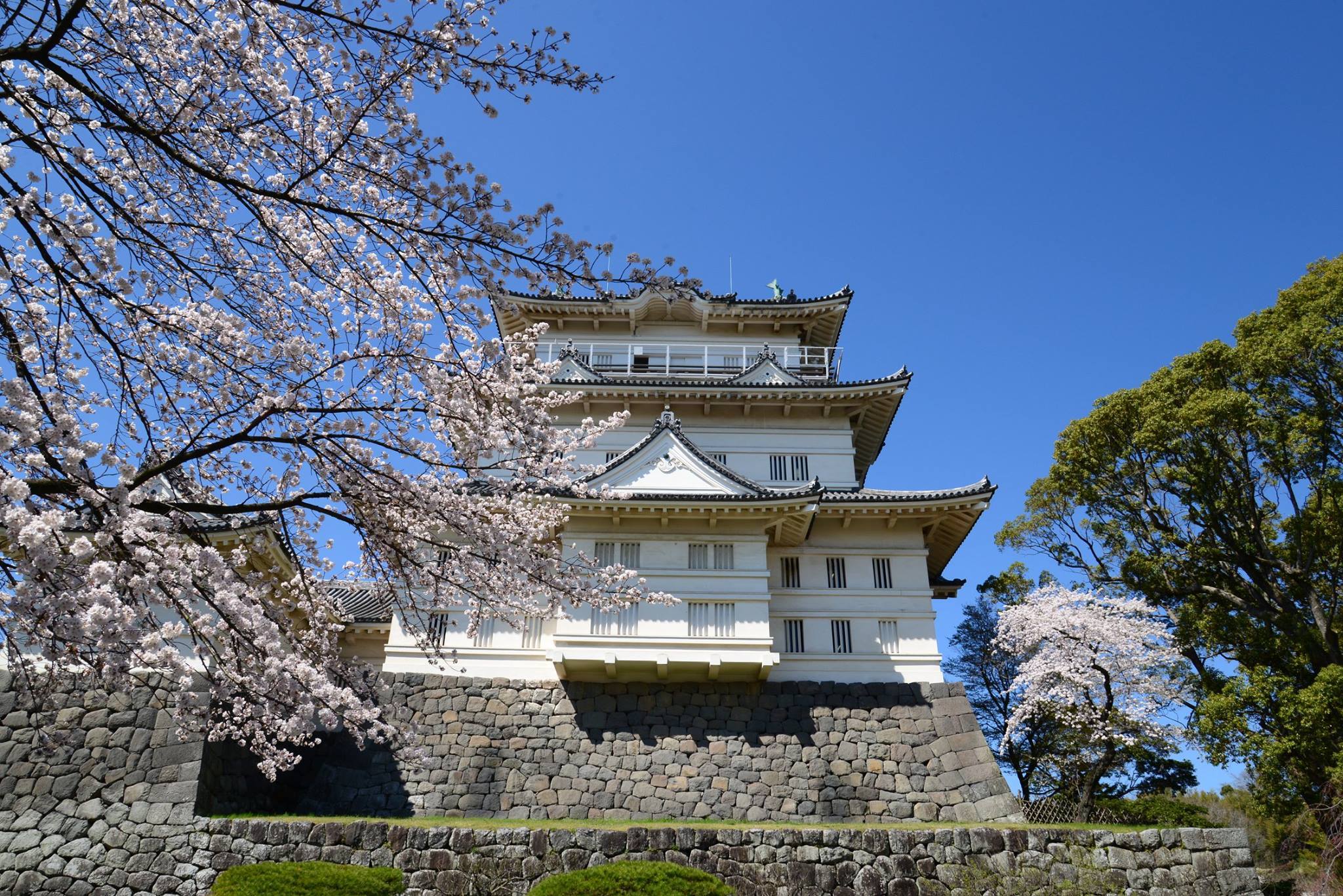 odawara castle