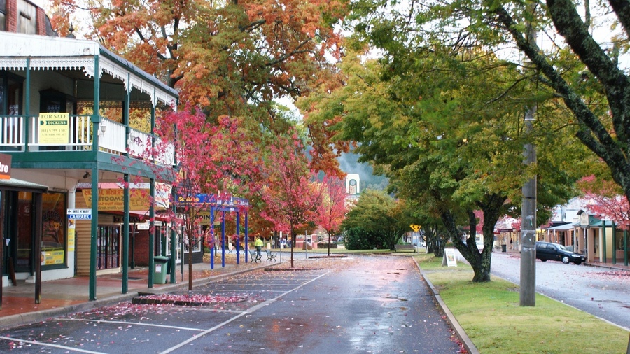 Bright town australia fall foliage places (1)