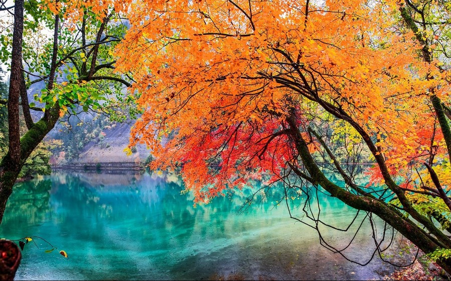 Jiuzhaigou autumn china (1)