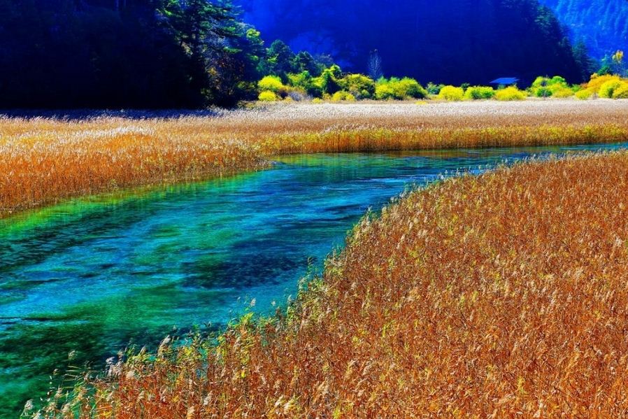 Jiuzhaigou autumn china (1)
