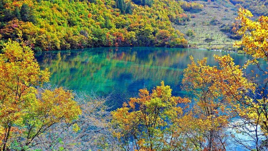 Jiuzhaigou autumn china (1)