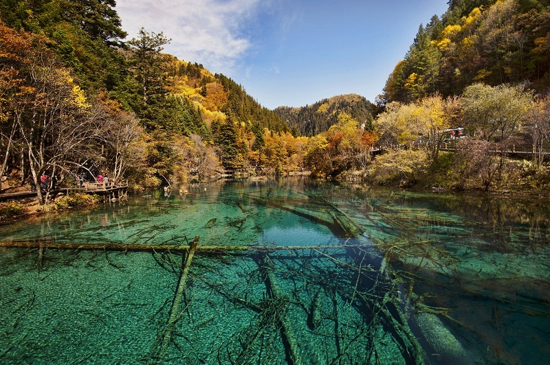 Jiuzhaigou autumn china (1)