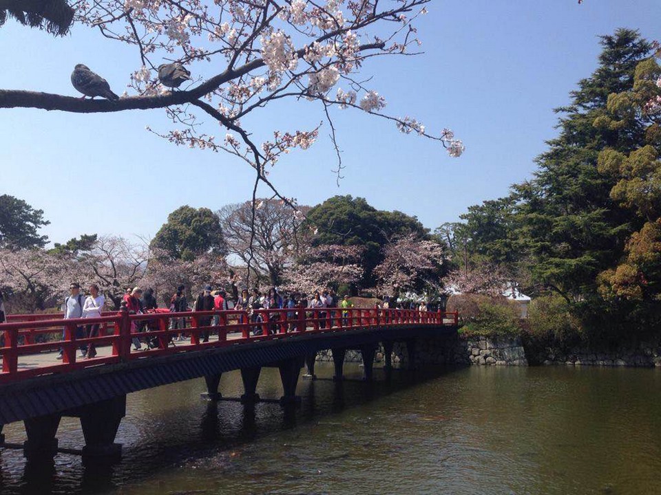 Odawara castle