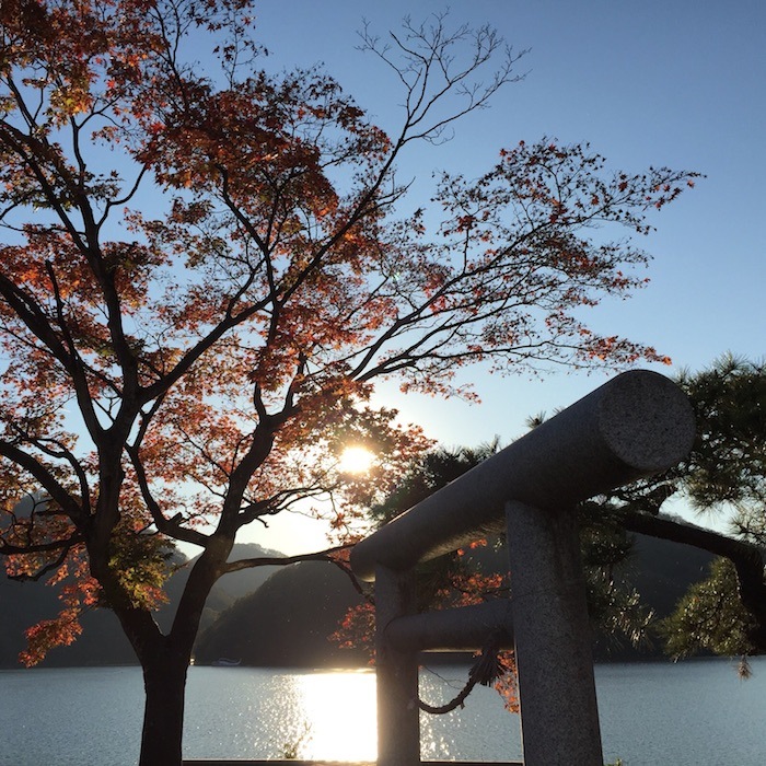 Sagamiko Illumination Forest 1