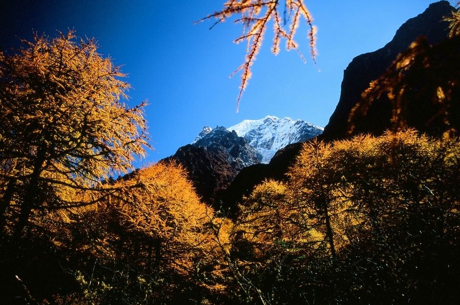 nepal autumn best fall foliage destinations in asia (1)