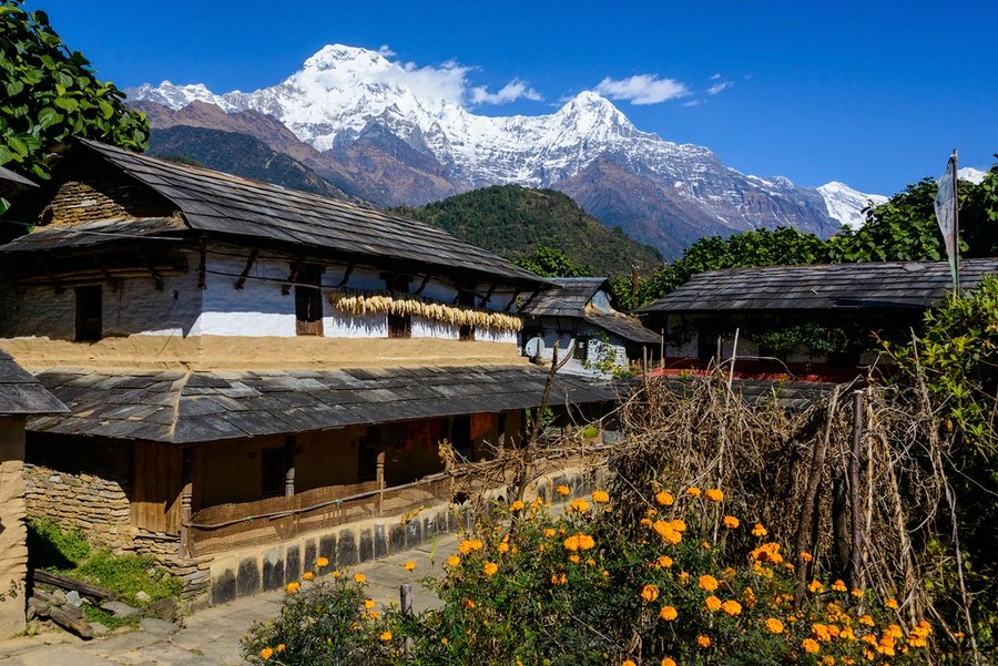 nepal autumn best fall foliage destinations in asia (1)