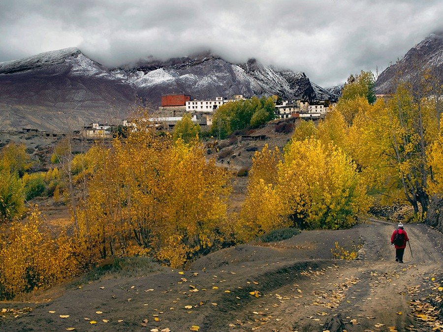 nepal autumn best fall foliage destinations in asia (1)