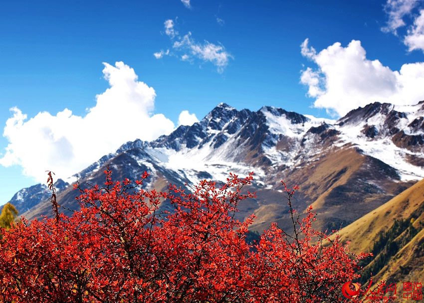 nepal autumn best fall foliage destinations in asia (1)