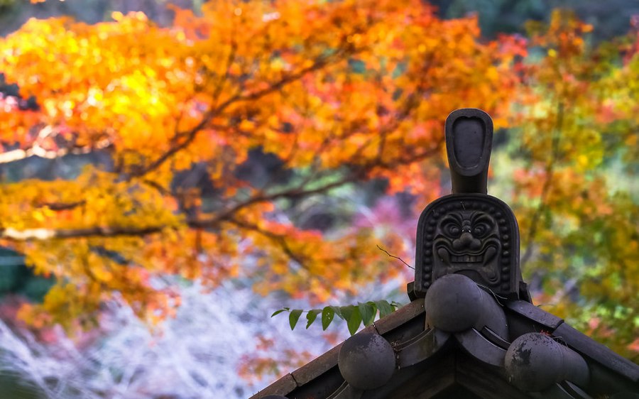 nikko places to see autumn leaves in japan (1) Credit: fall foliage destinations in Asia blog.
