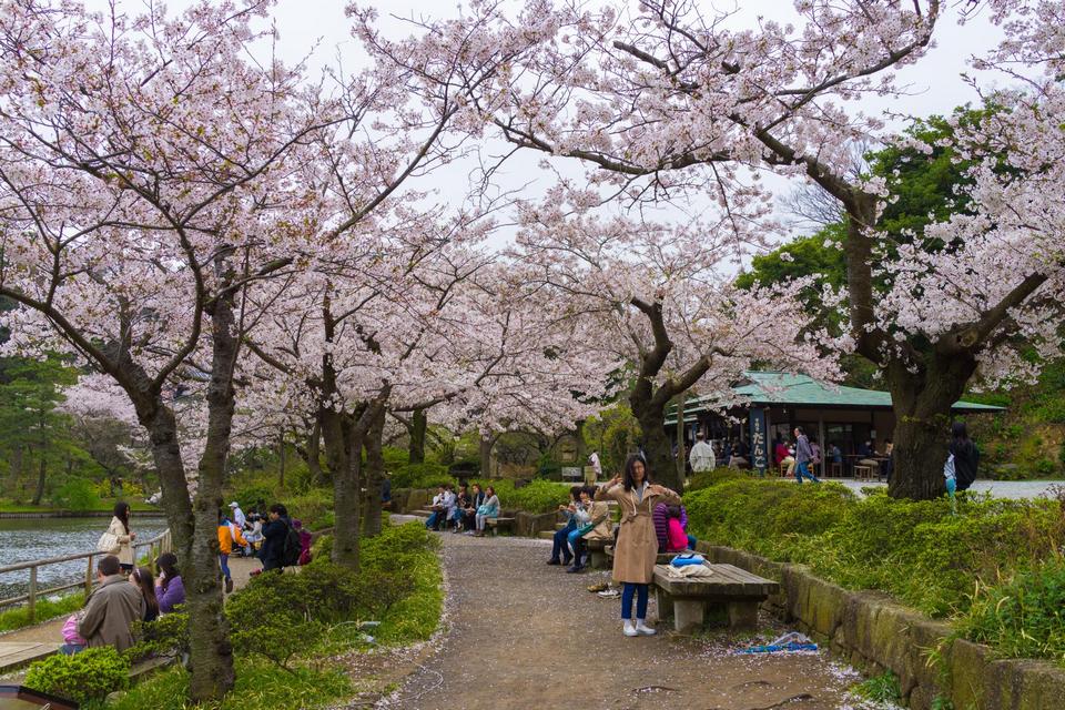 sankeien-garden-photo