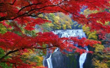 Picture: Japanese waterfall blog.