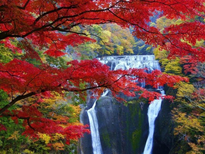 Picture: Japanese waterfall blog.