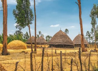 8 days in Ethiopia