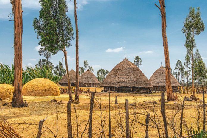 8 days in Ethiopia 8 days in Ethiopia