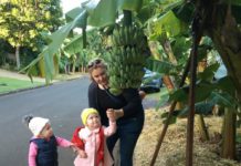 urban food street-unique street in australia11