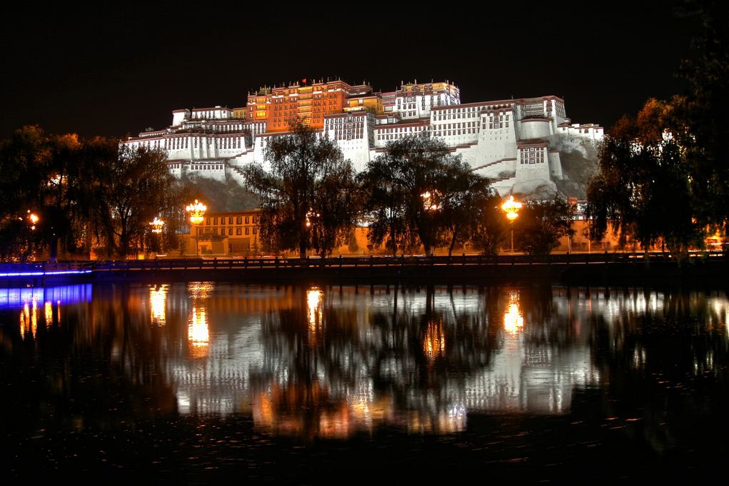 potala palace tibet at night