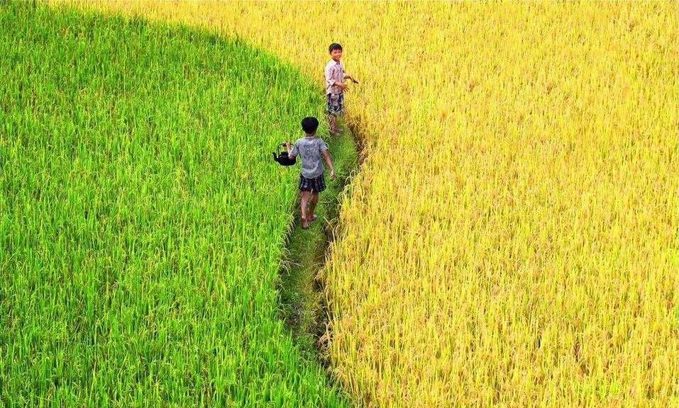 1hoang su phi ha giang northwestern vietnam photos (11)