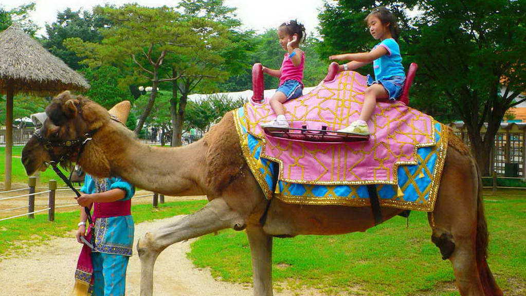 Everland, Korea