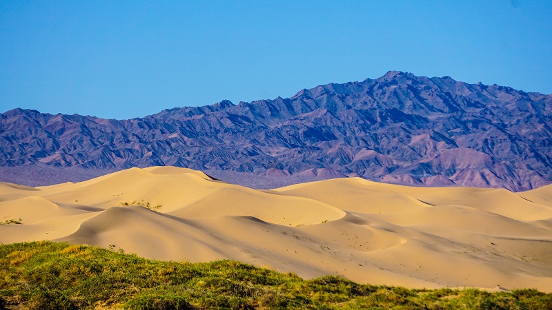 gobi desert tour mongolia travel blog gobi desert travel (1)