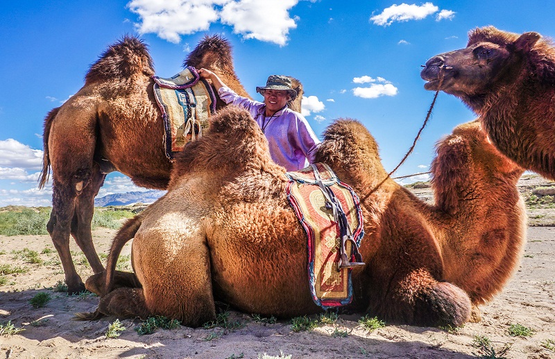 gobi desert tour mongolia travel blog gobi desert travel (1)