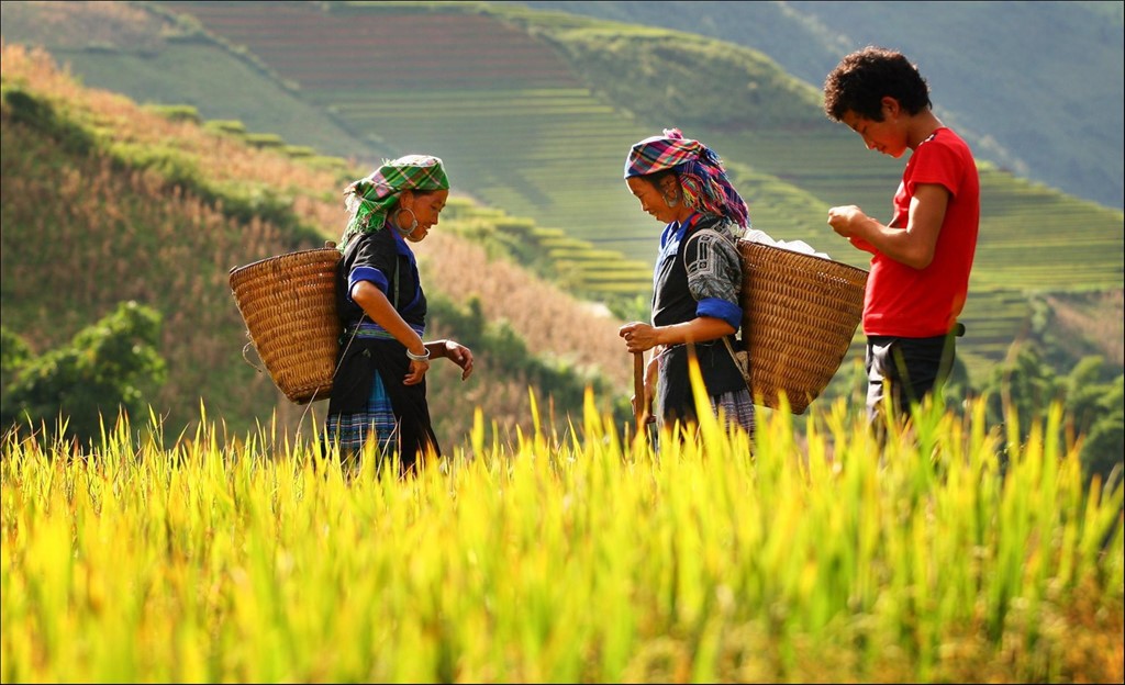 hoang su phi ha giang northwestern vietnam photos (1)