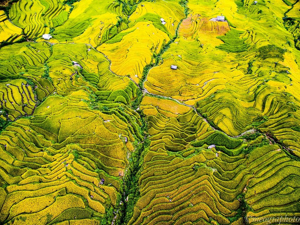 hoang su phi ha giang northwestern vietnam photos (10)