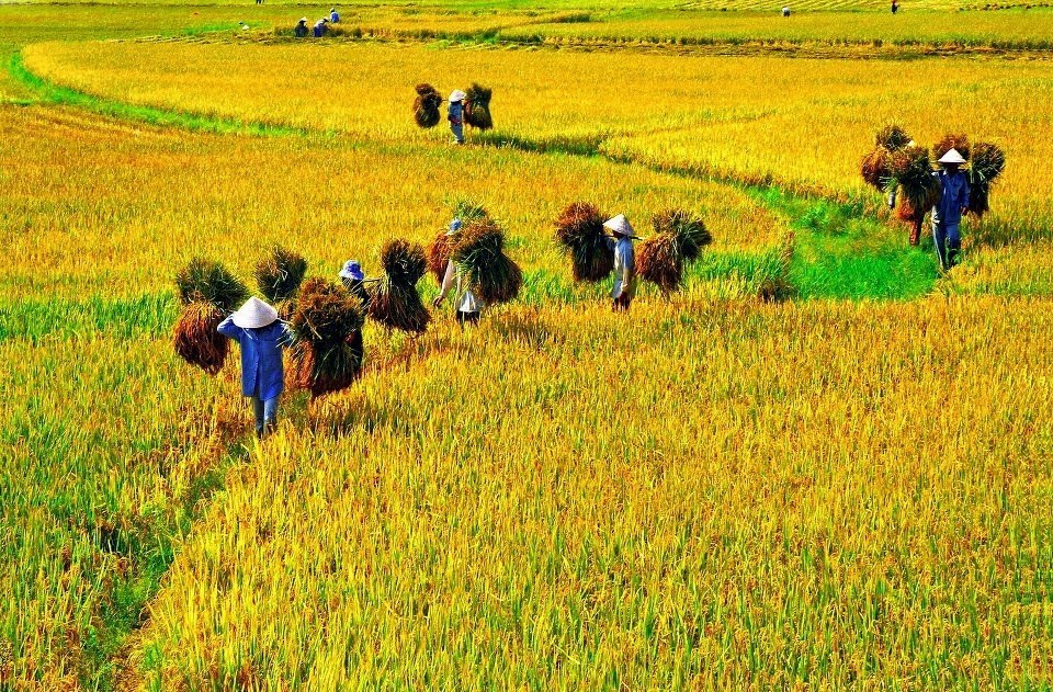 hoang su phi ha giang northwestern vietnam photos (13)