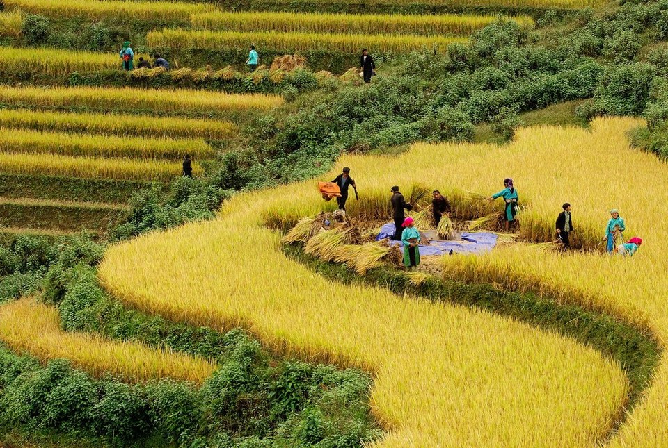 hoang su phi ha giang northwestern vietnam photos (17)