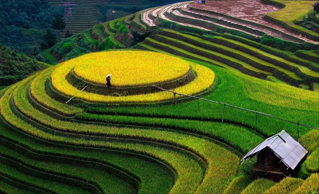 hoang su phi ha giang northwestern vietnam photos (18)