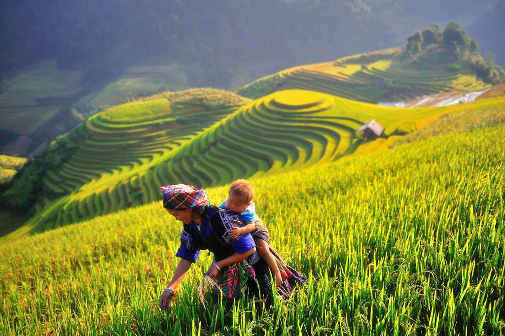 hoang su phi ha giang northwestern vietnam photos (2)