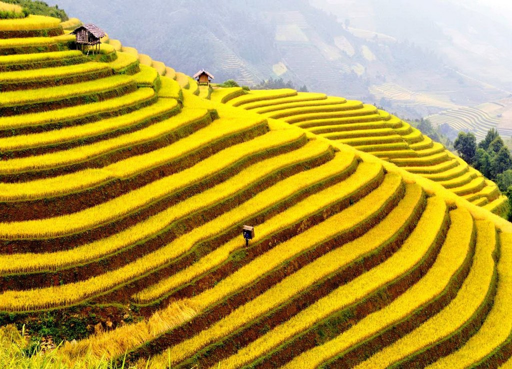 hoang su phi ha giang northwestern vietnam photos (21)