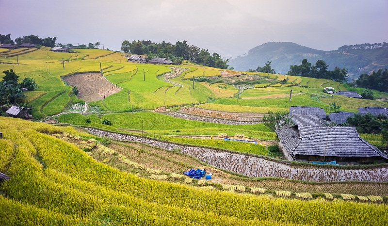 DuongNghiem photography