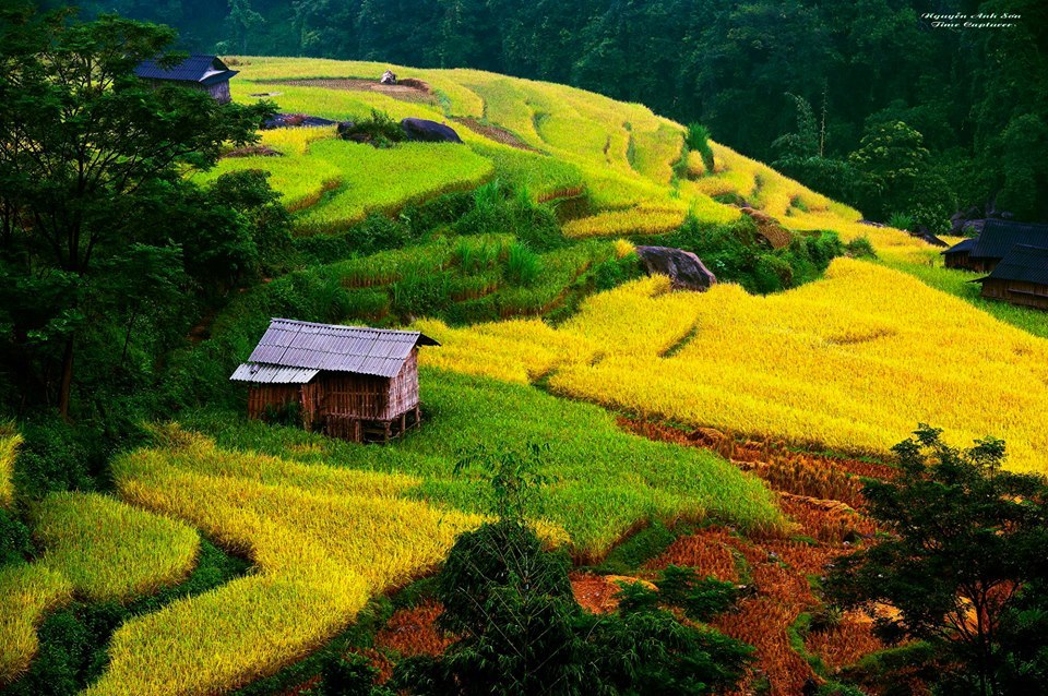 hoang su phi ha giang northwestern vietnam photos (26)