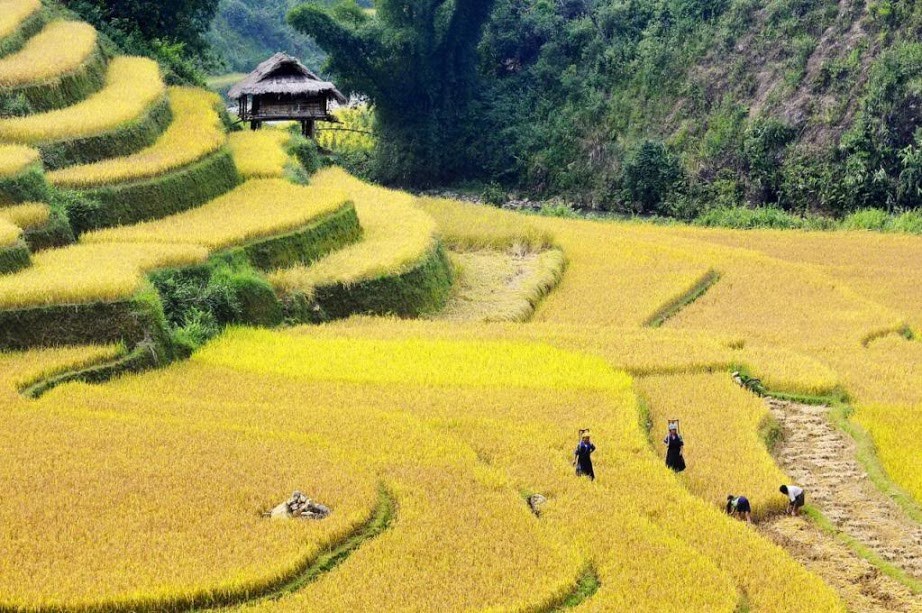 hoang su phi ha giang northwestern vietnam photos (28)