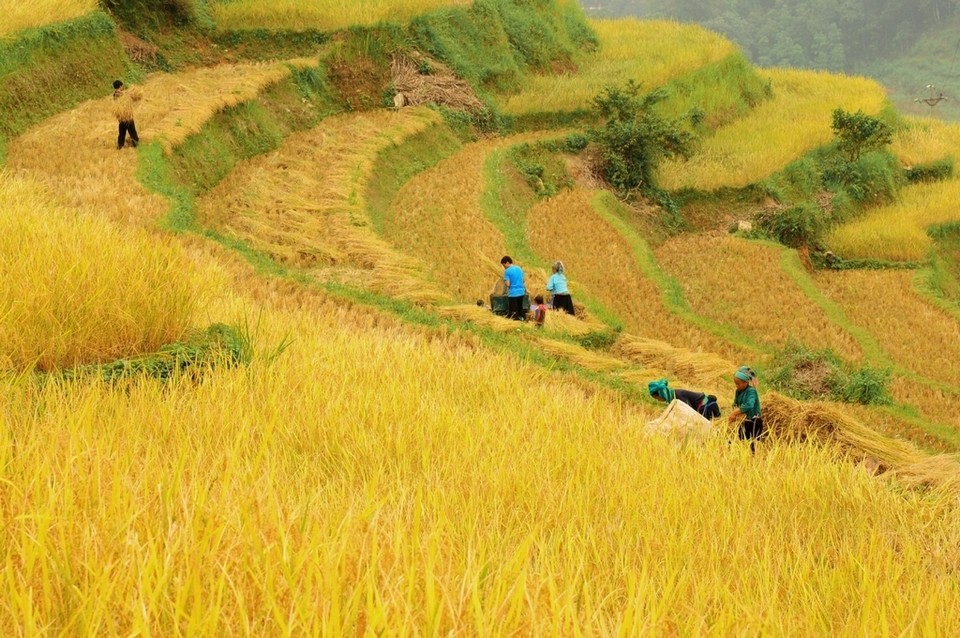hoang su phi ha giang northwestern vietnam photos (4)