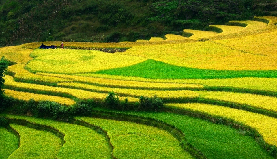 hoang su phi ha giang northwestern vietnam photos (5)