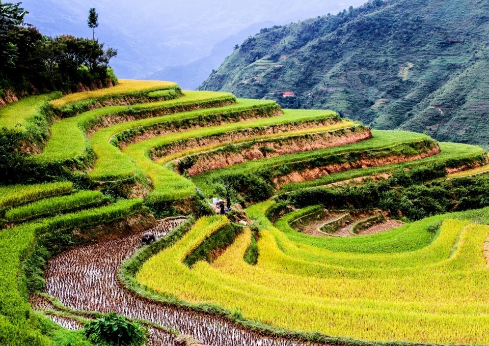 hoang su phi ha giang northwestern vietnam photos (6)