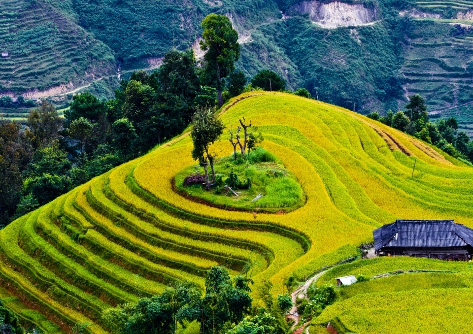 hoang su phi ha giang northwestern vietnam photos (7)