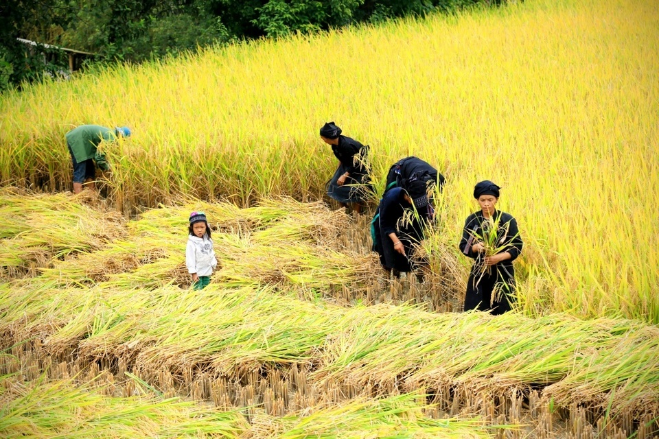 hoang su phi ha giang northwestern vietnam photos (8)