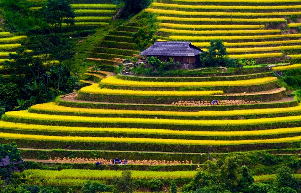hoang su phi ha giang northwestern vietnam photos (9)