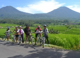 how to get around bali 2