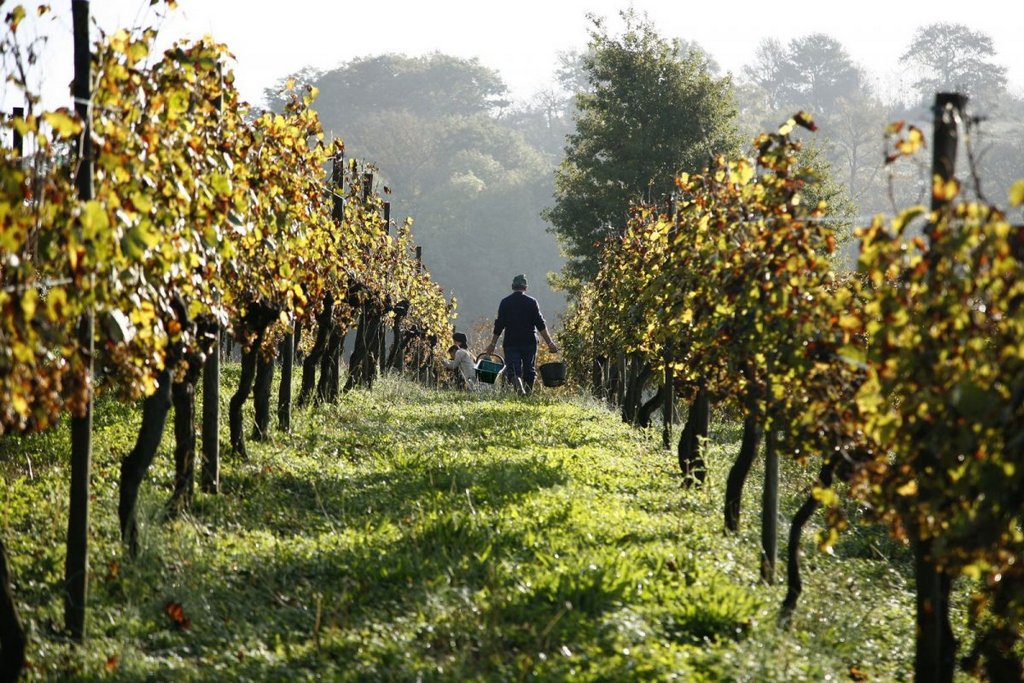bordeaux best cities for honeymoon in europe