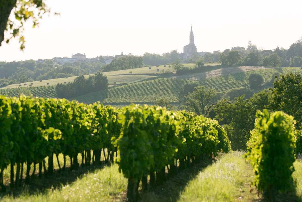 bordeaux_vineyard best cities for honeymoon in europe
