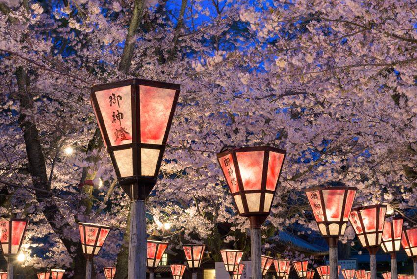 Cherry Blossom Festival