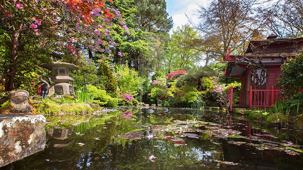 japanese-garden-3