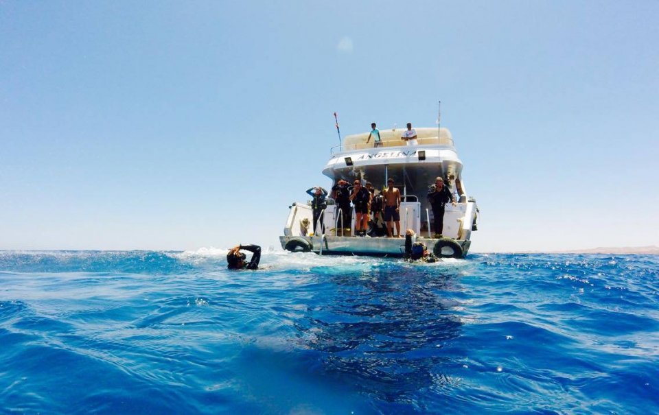 diving sinai